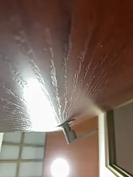 Snapshot of Dafne_se chatting on January 18, 2026, 12:36 am Dafne se online show from January 18, 2026, 12:36 am