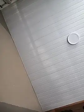 seunamoradinho7 online show from December 1, 2025, 10:05 am