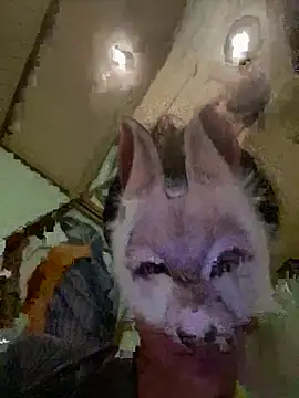 aotaro0721 online show from February 27, 2026, 4:01 am