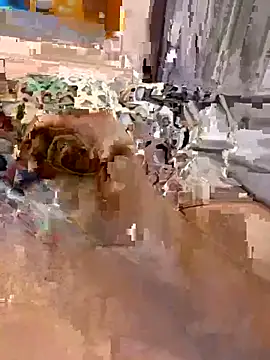 en93000 online show from April 7, 2026, 5:42 am