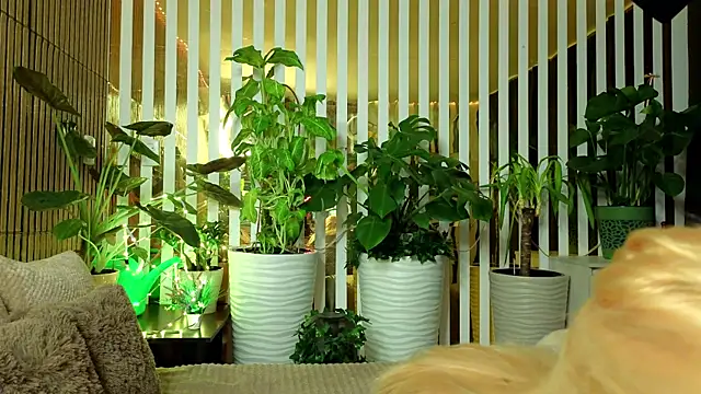 Snapshot of FlowweerGirl chatting on December 15, 2025, 9:42 pm FlowweerGirl online show from December 15, 2025, 9:42 pm