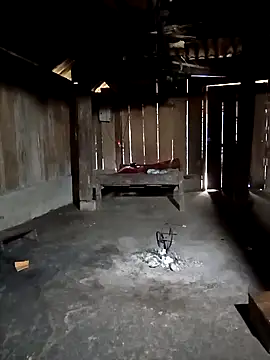 ava-dellght online show from February 3, 2026, 6:40 am