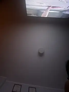 monita2106 online show from March 12, 2026, 6:17 am