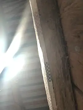 bae-asian online show from April 8, 2026, 9:49 pm