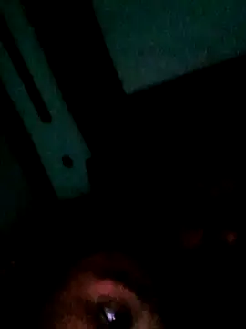 khushaboosexy online show from February 12, 2026, 10:15 am