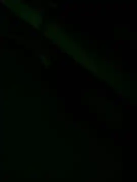 zoodangermind online show from May 17, 2026, 12:10 am