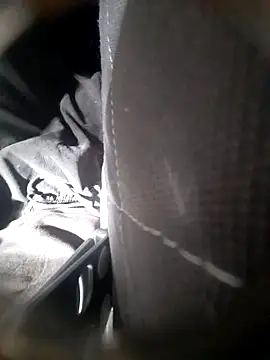 Snapshot of Shank599 chatting on February 9, 2026, 3:04 am Shank599 online show from February 9, 2026, 3:04 am