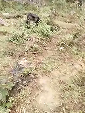 neko-nancy online show from January 7, 2026, 7:57 am