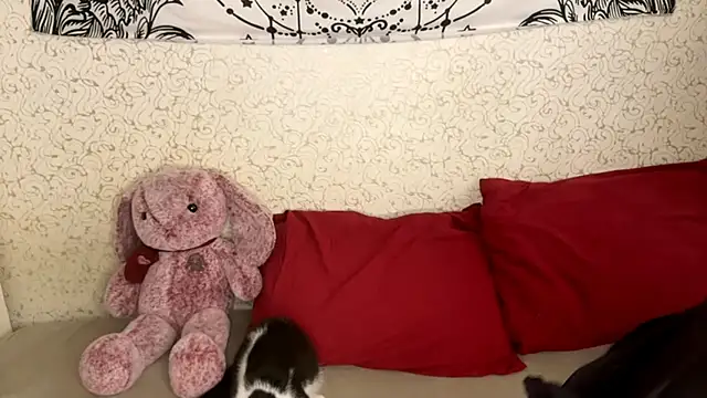 Snapshot of Shining_Robi chatting on December 18, 2025, 12:09 pm Shining Robi online show from December 18, 2025, 12:09 pm