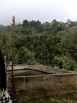  CTMay 77 online show from April 1, 2026, 4:03 am