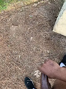 PublicBbc online show from March 25, 2026, 10:41 pm