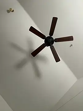 faces818 online show from March 21, 2026, 5:17 pm