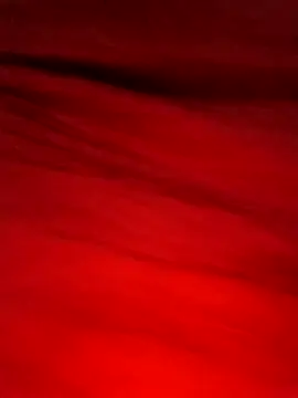 Maya Big55A online show from April 3, 2026, 7:53 pm