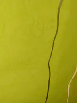 SHARLOT2427 online show from December 20, 2025, 7:28 pm