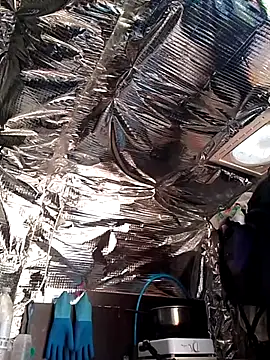 Quebec46 online show from April 15, 2026, 10:21 am