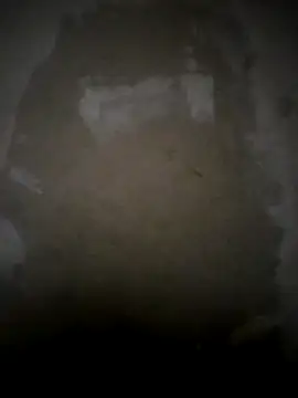 Blackpounder online show from March 29, 2026, 12:12 am