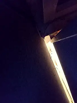 damslebambou1 online show from January 14, 2026, 1:09 am