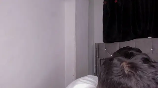 naughtysalomon   online show from February 15, 2026, 12:55 am