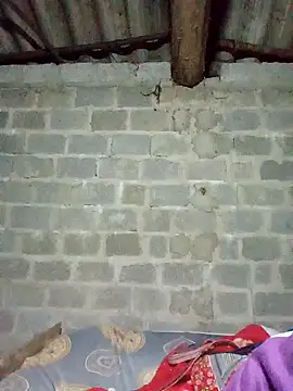 lemon-beo online show from December 20, 2025, 12:41 pm