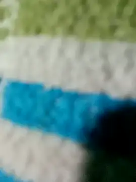 tamilansinsforu online show from February 14, 2026, 1:11 pm