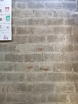 bonita  online show from January 14, 2026, 1:15 pm