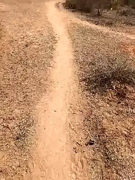 Tamilpaiyan07 online show from February 8, 2026, 5:49 am