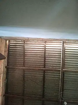 gingavi online show from January 6, 2026, 7:18 pm