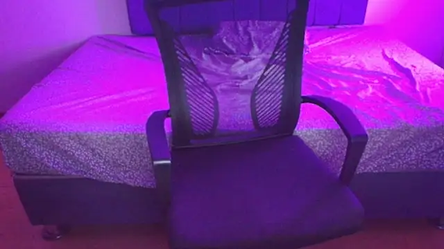 Sofii unicorn online show from March 14, 2026, 1:44 am