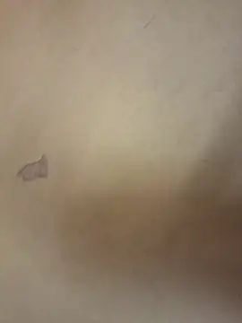 yourburget online show from February 19, 2026, 2:25 pm