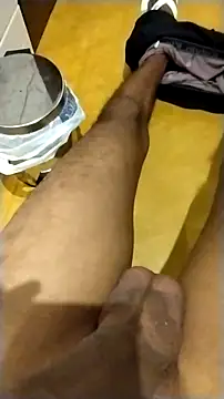 Novinhoie online show from February 1, 2026, 9:24 pm