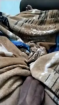 Novinhoie online show from April 29, 2026, 6:06 am