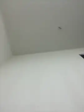 w52889 online show from December 22, 2025, 12:49 pm