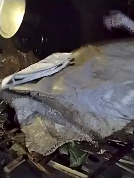 galaxy898 online show from February 27, 2026, 12:38 pm