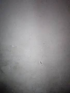 Snapshot of xrealcam699 chatting on February 22, 2026, 7:33 am xrealcam699 online show from February 22, 2026, 7:33 am