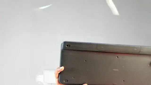 ElenaWatsonn online show from January 8, 2026, 7:42 pm