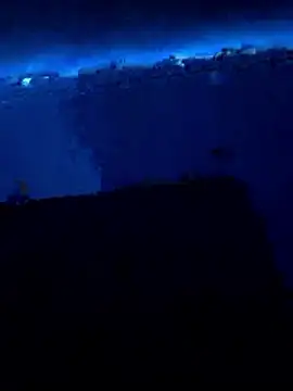 stranger human online show from January 11, 2026, 5:25 am