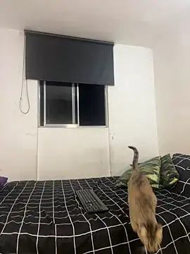 Snapshot of itselladoll chatting on February 22, 2026, 7:55 am itselladoll online show from February 22, 2026, 7:55 am