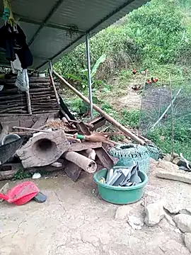 congchua977 online show from April 17, 2026, 11:02 am