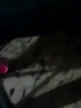 Antras92 online show from January 12, 2026, 1:45 am