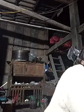 dakota-kis online show from January 17, 2026, 12:42 pm