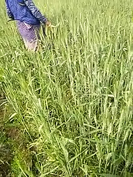 Snapshot of hornycouple20000 chatting on February 1, 2026, 6:44 am hornycouple20000 online show from February 1, 2026, 6:44 am