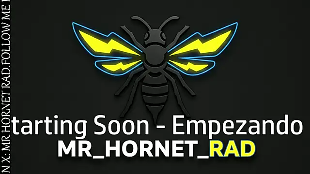 Snapshot of s_hornet chatting on May 18, 2026, 11:20 pm s hornet online show from May 18, 2026, 11:20 pm