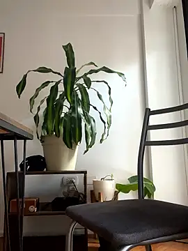 Chubandchaser online show from January 8, 2026, 12:22 pm