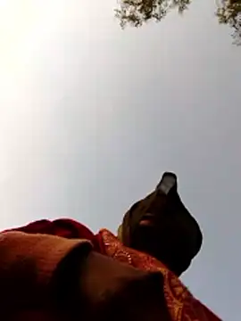 Jyoti sekh online show from February 10, 2026, 2:10 am