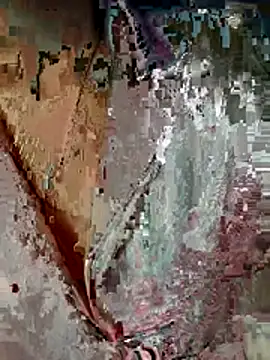 moon baby99 online show from March 11, 2026, 4:06 am