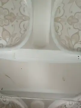 Pagelboy 089 online show from February 19, 2026, 8:44 am