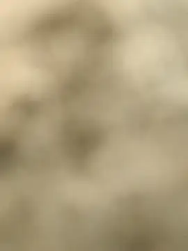 Pagelboy 089 online show from February 15, 2026, 9:30 am