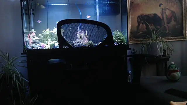 EspanolVato online show from April 2, 2026, 11:44 pm