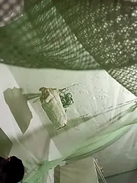 Snapshot of Jan_692 chatting on February 17, 2026, 2:58 pm Jan 692 online show from February 17, 2026, 2:58 pm