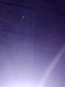 Sana-vn online show from March 14, 2026, 2:45 pm